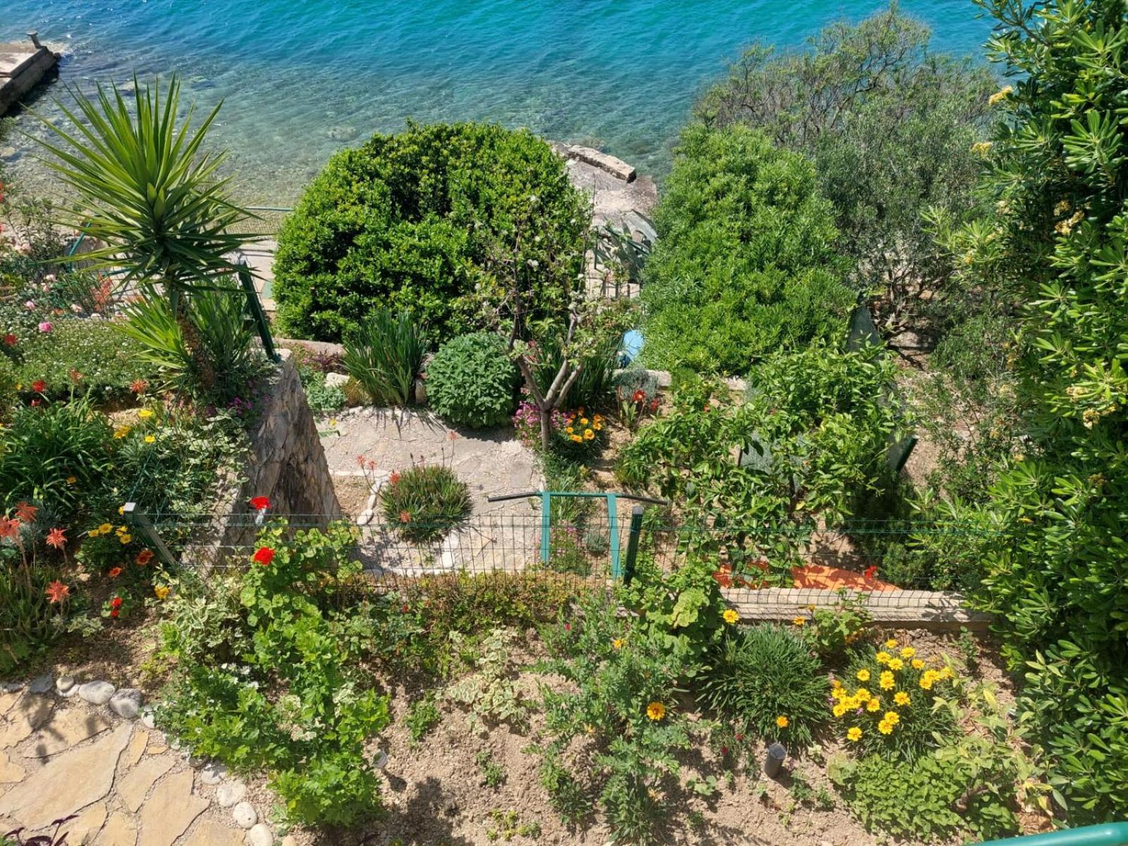 Apartment Toncica Omiš Exterior foto